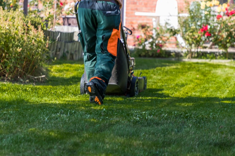 L'impact des espaces verts sur l'entreprise : booster le bien-être et la productivité.