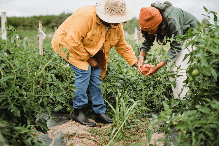 Agriculture sociale : quand l'Humain et l'Environnement se rencontrent